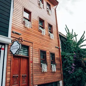 Gulliver Mansion فندق